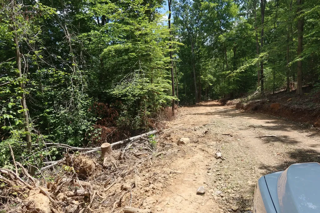 2628 Claylick Road, NE Whites Creek TN 37189