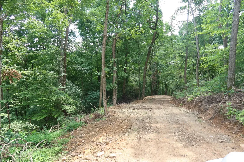2628 Claylick Road, NE Whites Creek TN 37189