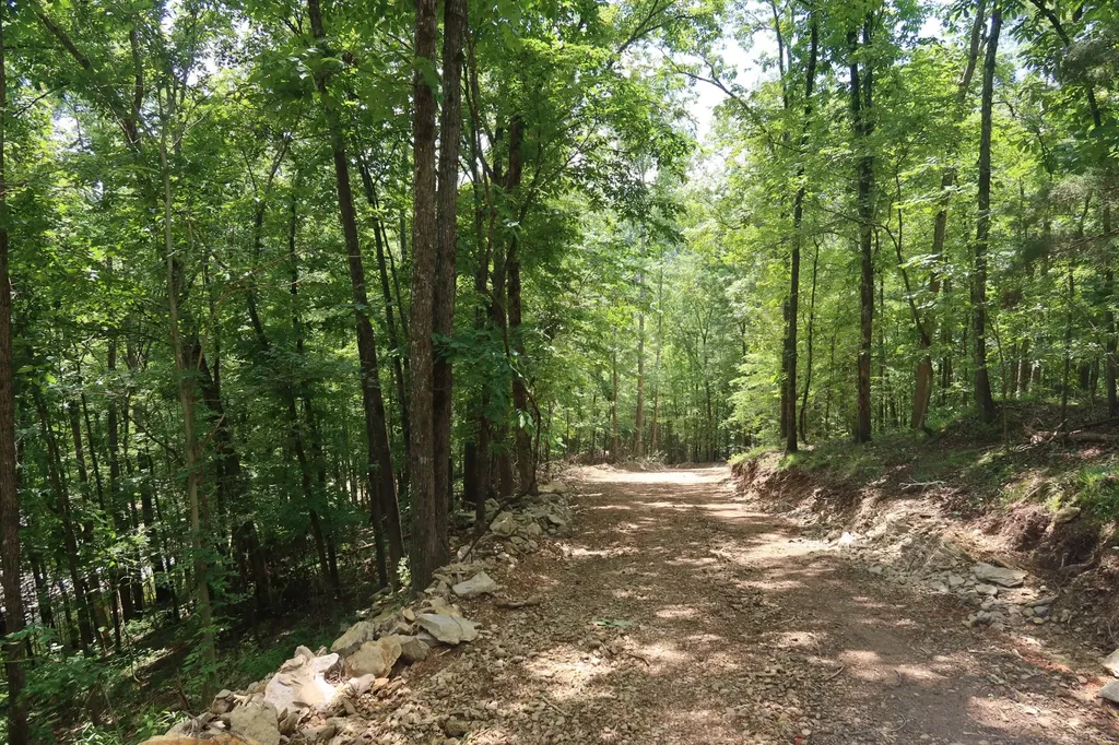 2628 Claylick Road, NE Whites Creek TN 37189