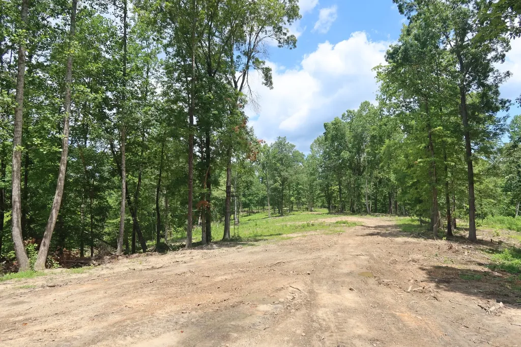 2628 Claylick Road, NE Whites Creek TN 37189