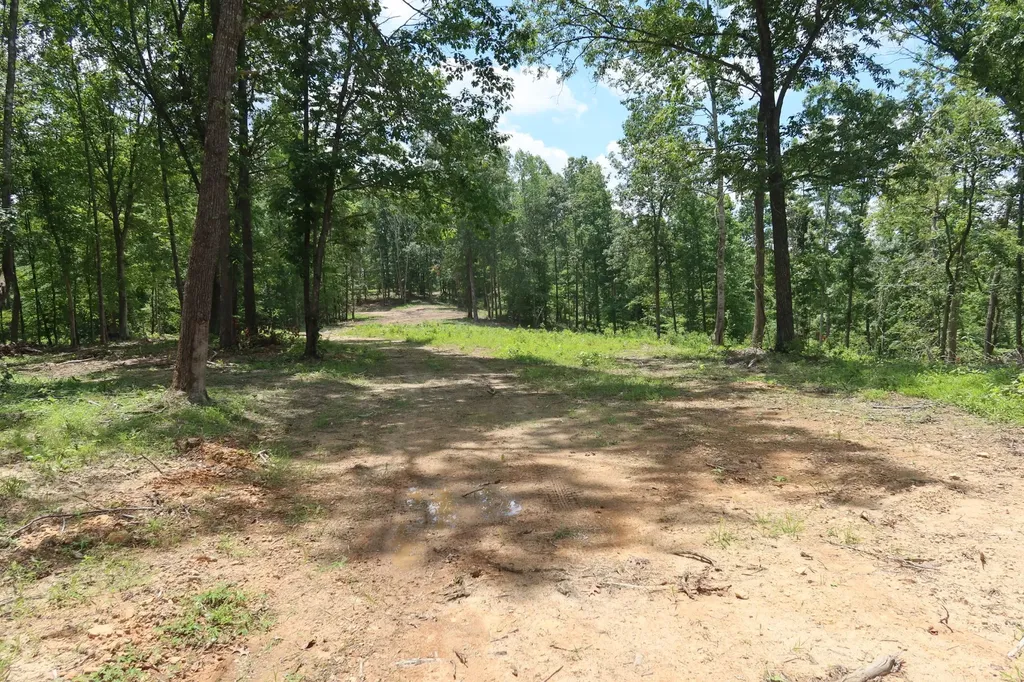 2628 Claylick Road, NE Whites Creek TN 37189