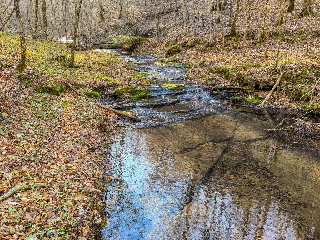 0 Bryant Boswell Road Westpoint TN 38486