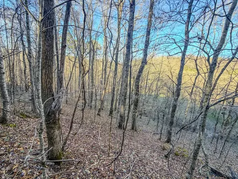 0 Bryant Boswell Road Westpoint TN 38486