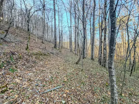 0 Bryant Boswell Road Westpoint TN 38486