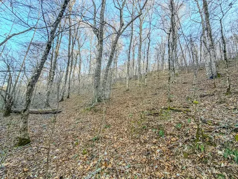 0 Bryant Boswell Road Westpoint TN 38486