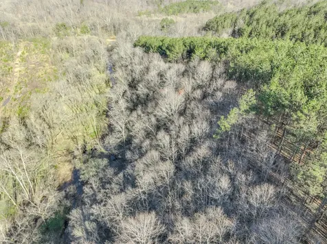 0 Bryant Boswell Road Westpoint TN 38486