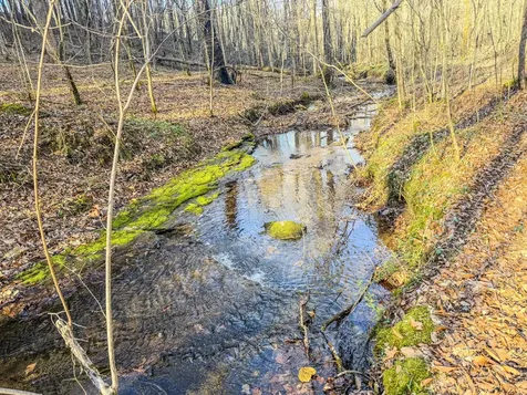 0 Bryant Boswell Road Westpoint TN 38486