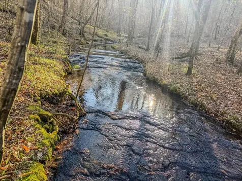 0 Bryant Boswell Road Westpoint TN 38486