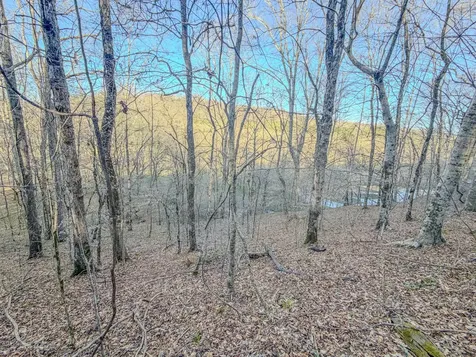 0 Bryant Boswell Road Westpoint TN 38486