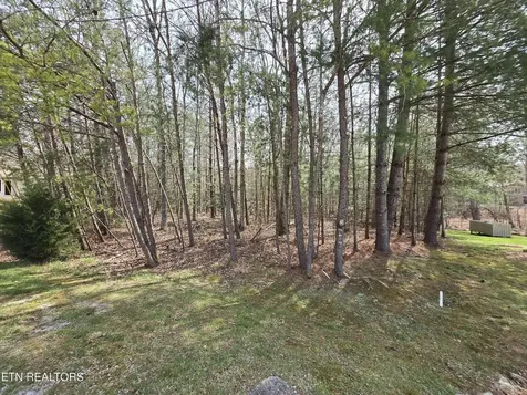 16 Holly Court Crossville TN 38558