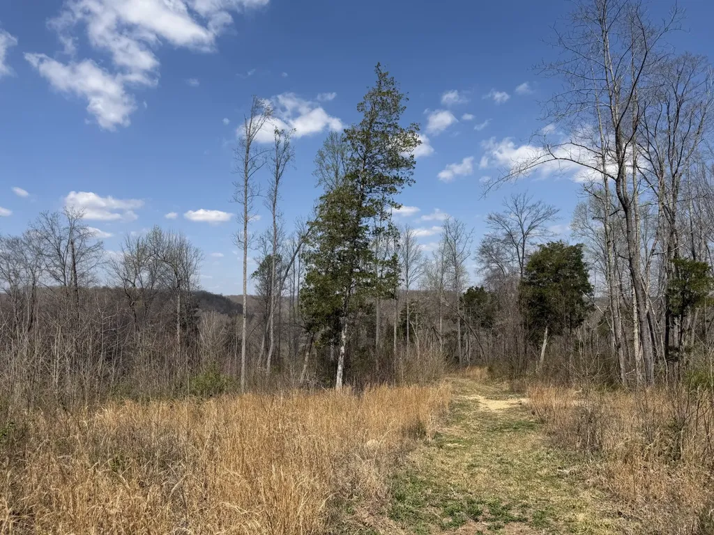 5849 N Lick Creek Road Franklin TN 37064