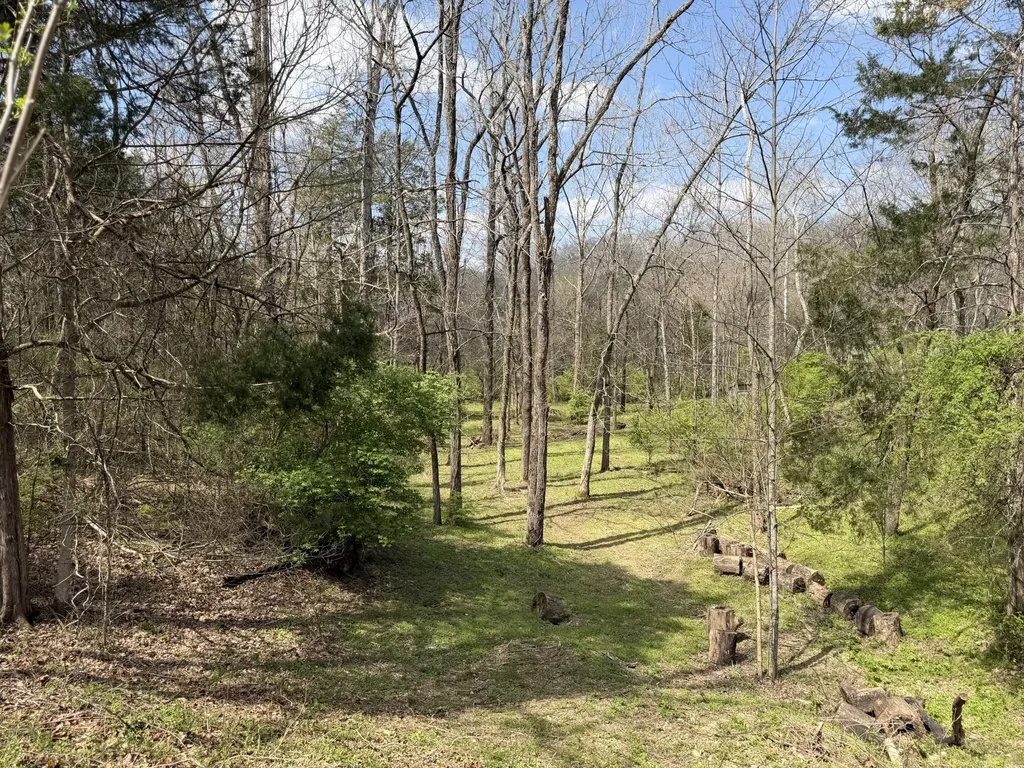 5849 N Lick Creek Road Franklin TN 37064