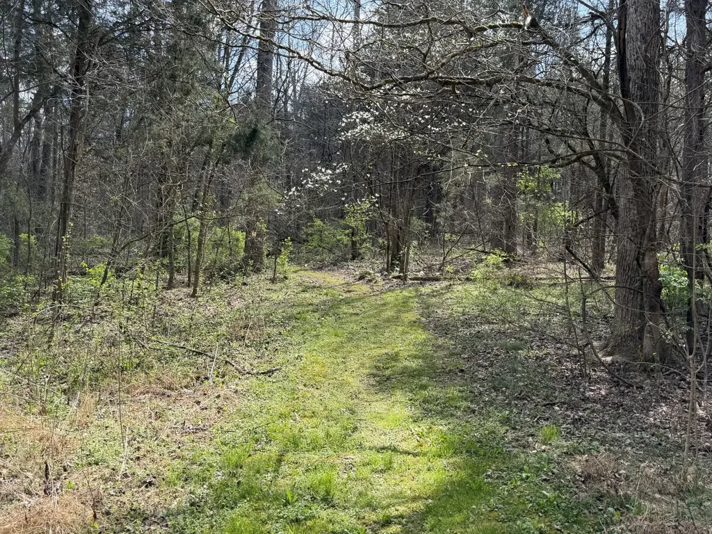 5849 N Lick Creek Road Franklin TN 37064