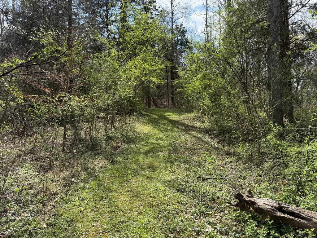 5849 N Lick Creek Road Franklin TN 37064