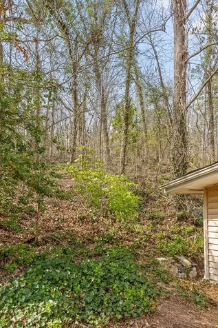 3735 Thrushwood Drive Chattanooga TN 37415