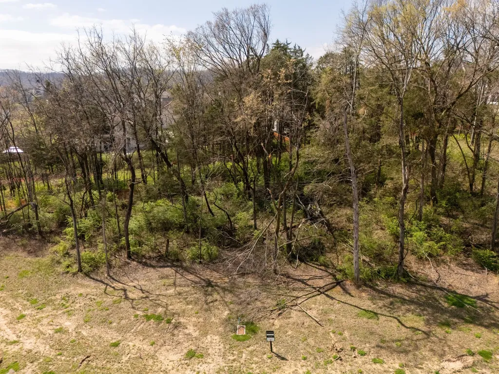 9906 Amarosa Court Brentwood TN 37027