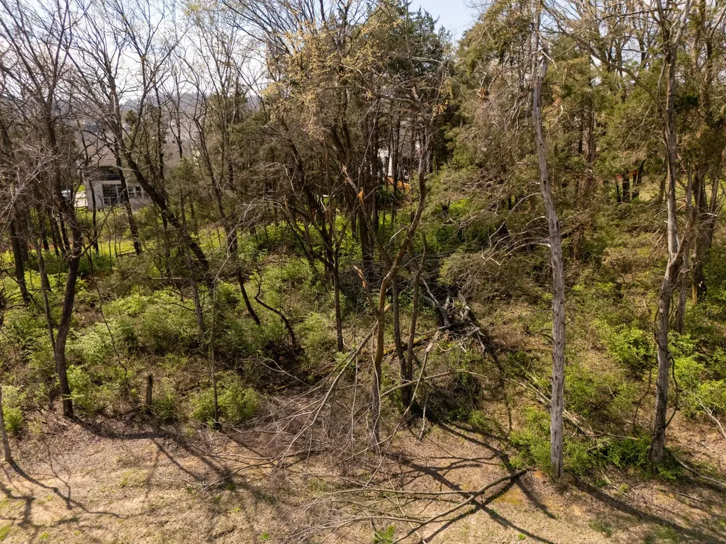 9906 Amarosa Court Brentwood TN 37027