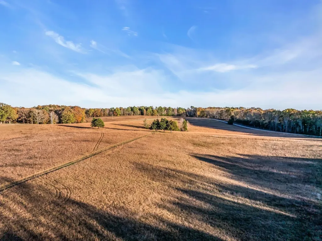 0 Wilson Hollow Road Dickson TN 37055