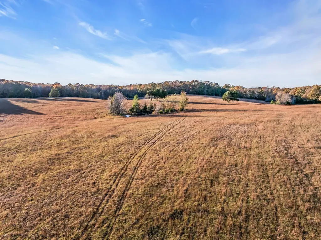 0 Wilson Hollow Road Dickson TN 37055