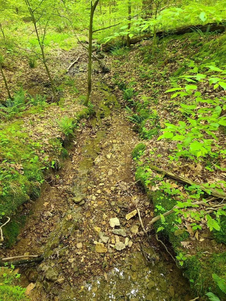 0 Davis Hollow Road Franklin TN 37064