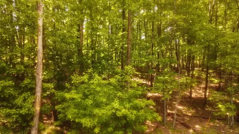0 Ravens Den Road Sewanee TN 37375