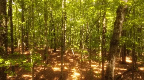 0 Ravens Den Road Sewanee TN 37375