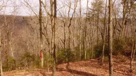 0 Ravens Den Road Sewanee TN 37375