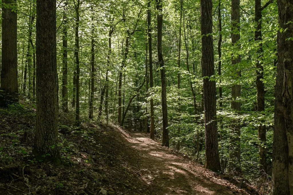 0 Pinewood Road Franklin TN 37064