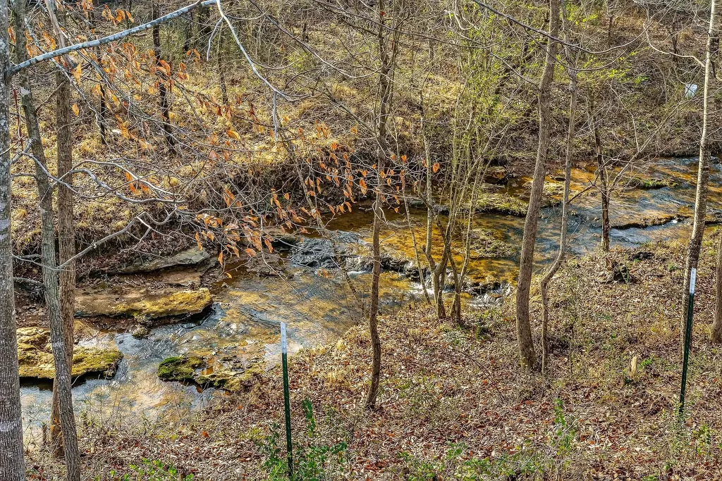 1603 Coon Hunt Road Baxter TN 38544