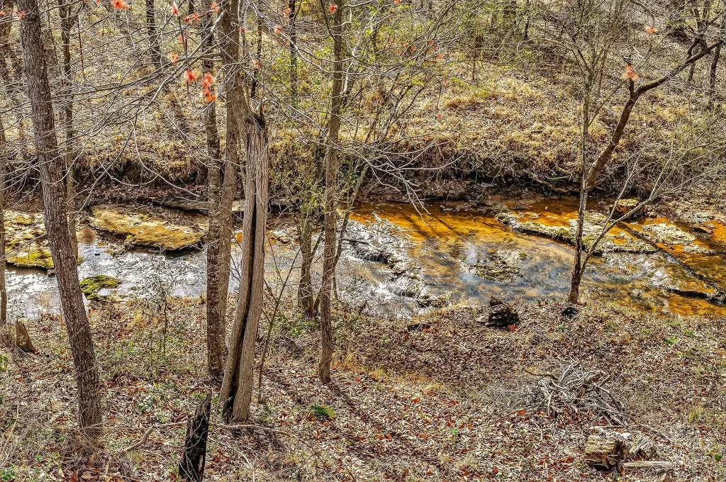 1603 Coon Hunt Road Baxter TN 38544