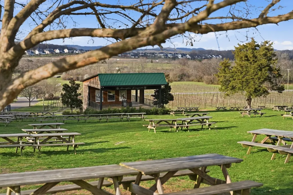 7033 Fiddlers Glen Drive Arrington TN 37014