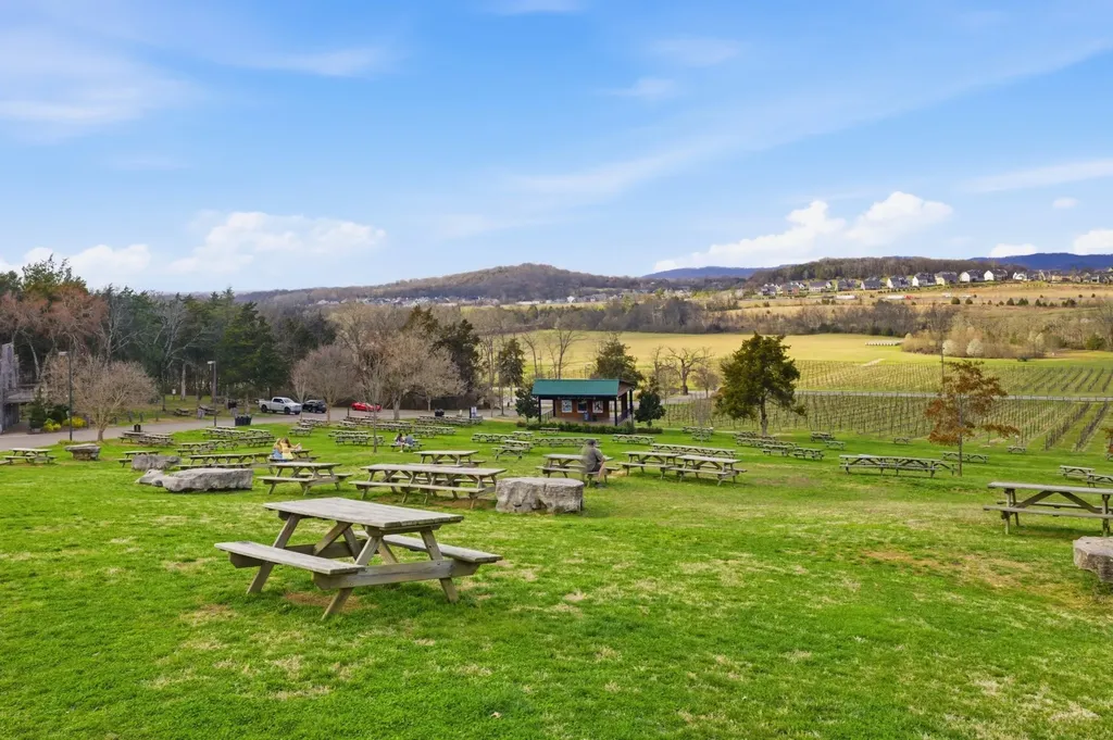 7033 Fiddlers Glen Drive Arrington TN 37014