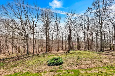 4840 Tarsus Road Palmyra TN 37142