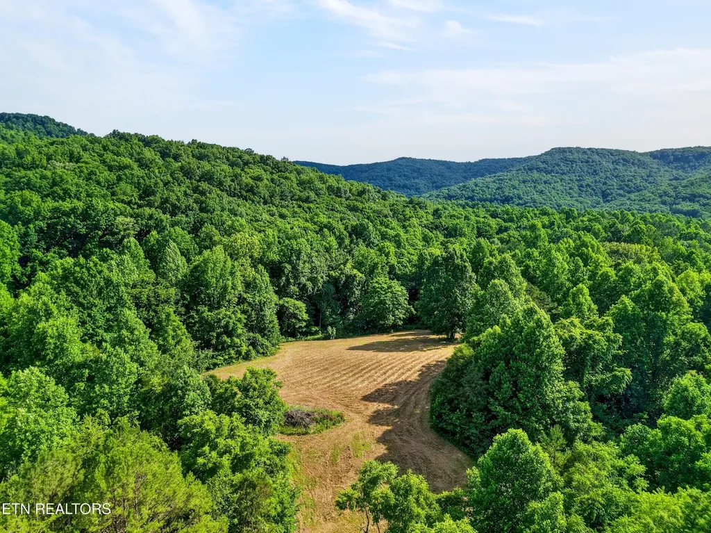 0 Buffalo Cove Lane Jamestown TN 38556