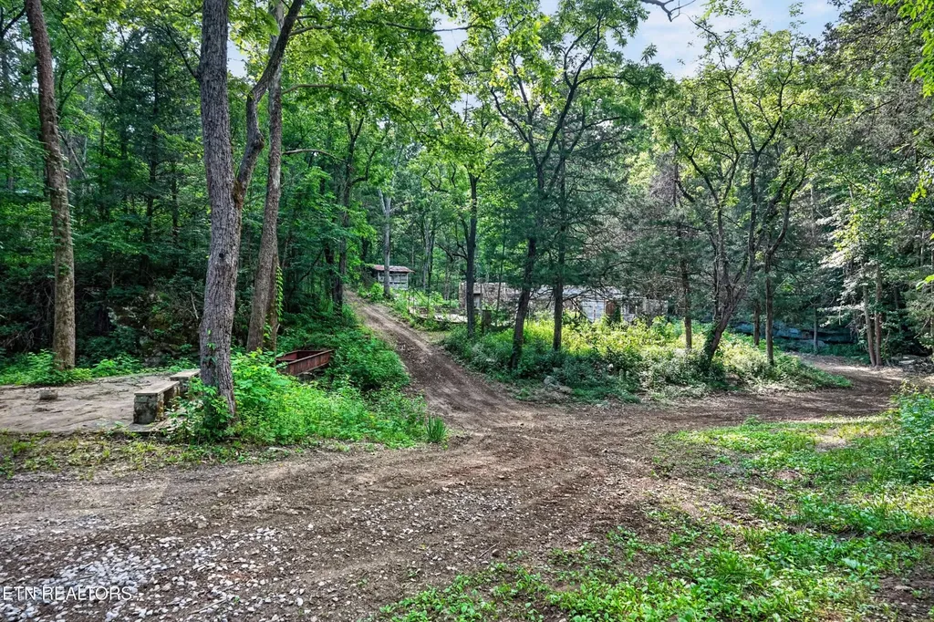 0 Buffalo Cove Lane Jamestown TN 38556