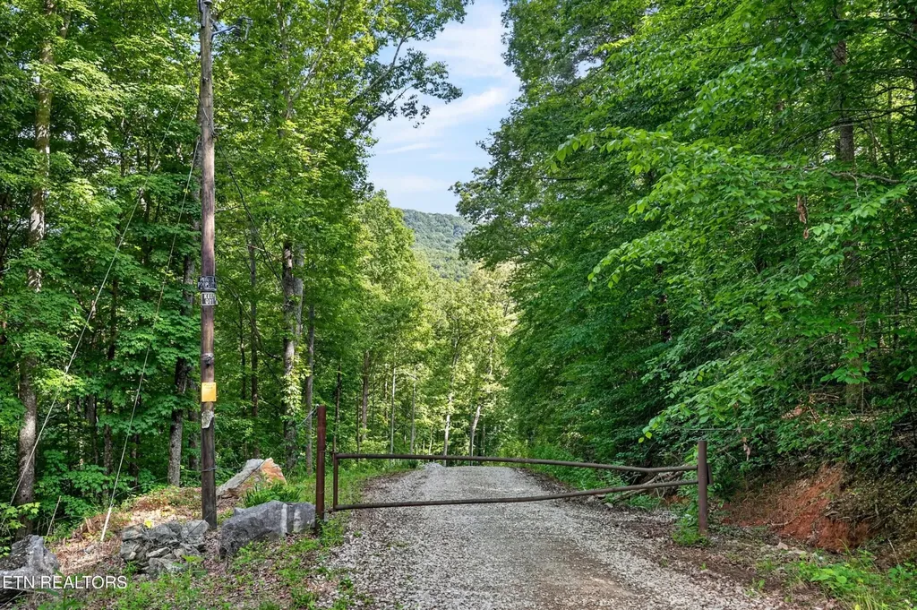 0 Buffalo Cove Lane Jamestown TN 38556
