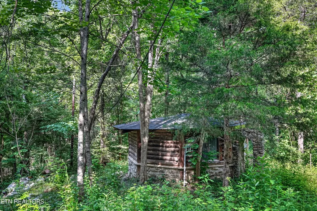 0 Buffalo Cove Lane Jamestown TN 38556