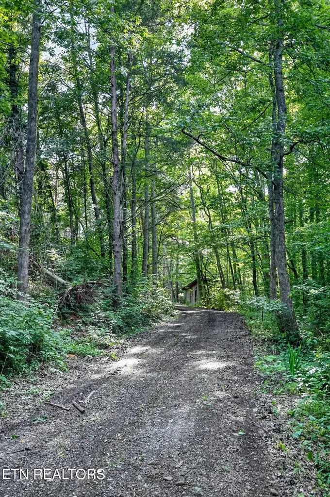 0 Buffalo Cove Lane Jamestown TN 38556
