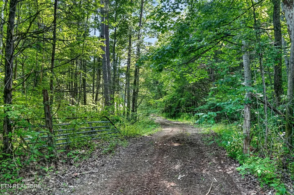 0 Buffalo Cove Lane Jamestown TN 38556