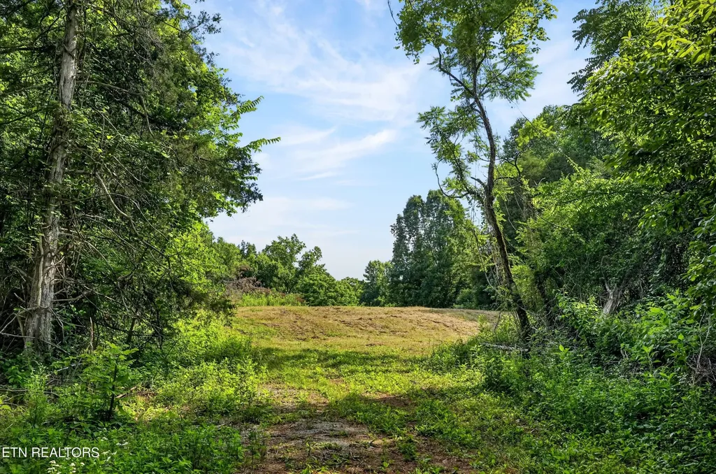 0 Buffalo Cove Lane Jamestown TN 38556