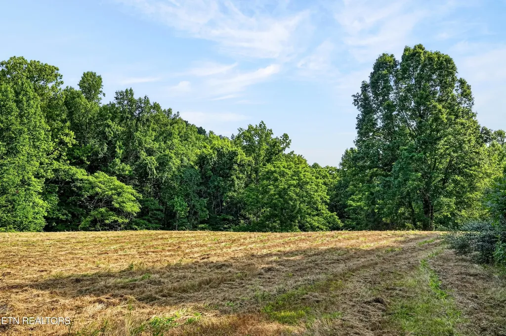 0 Buffalo Cove Lane Jamestown TN 38556