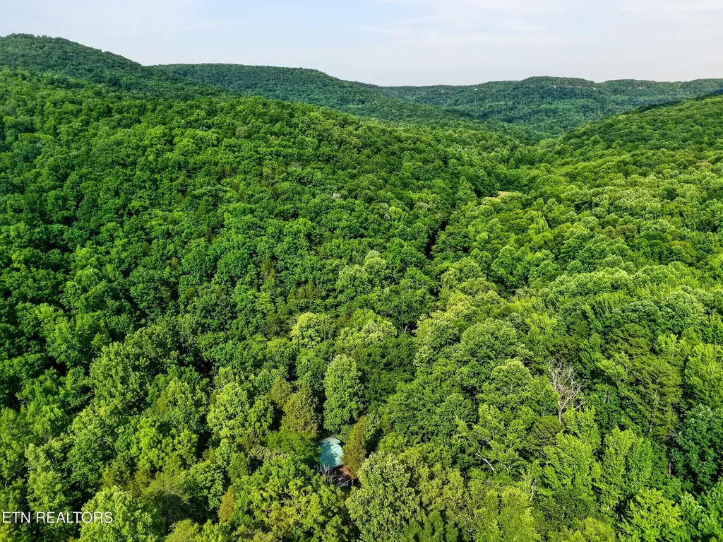 0 Buffalo Cove Lane Jamestown TN 38556