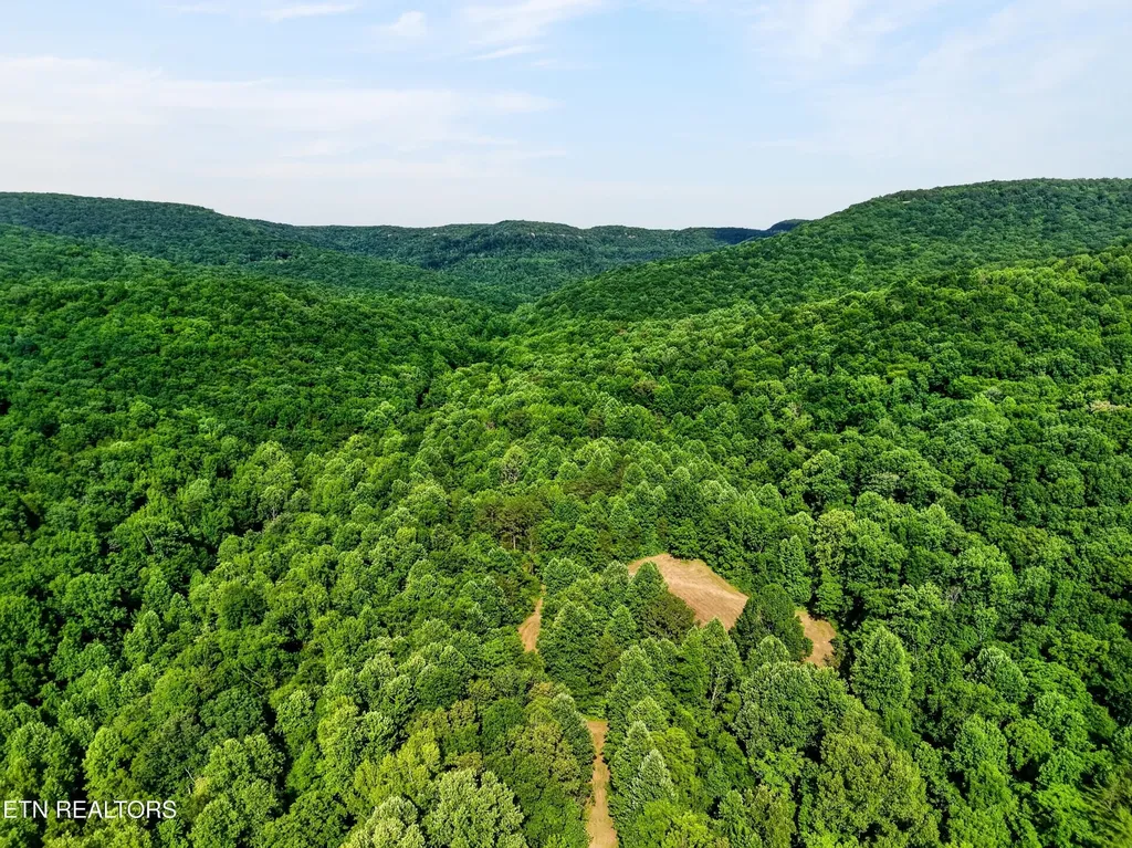 0 Buffalo Cove Lane Jamestown TN 38556