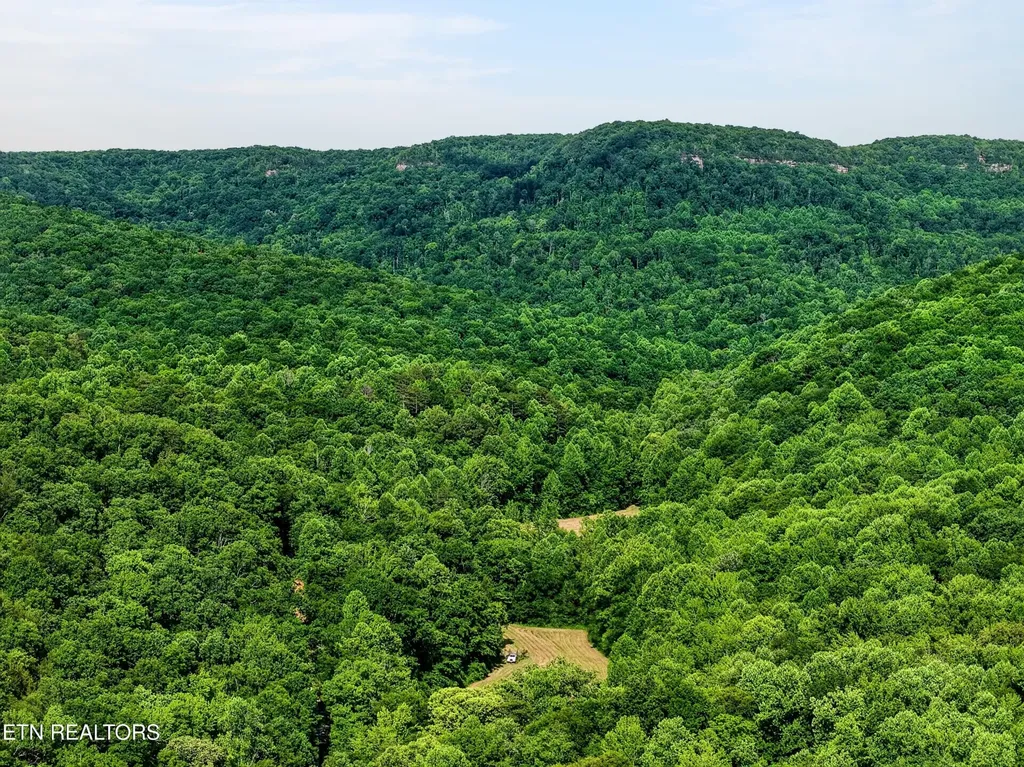 0 Buffalo Cove Lane Jamestown TN 38556