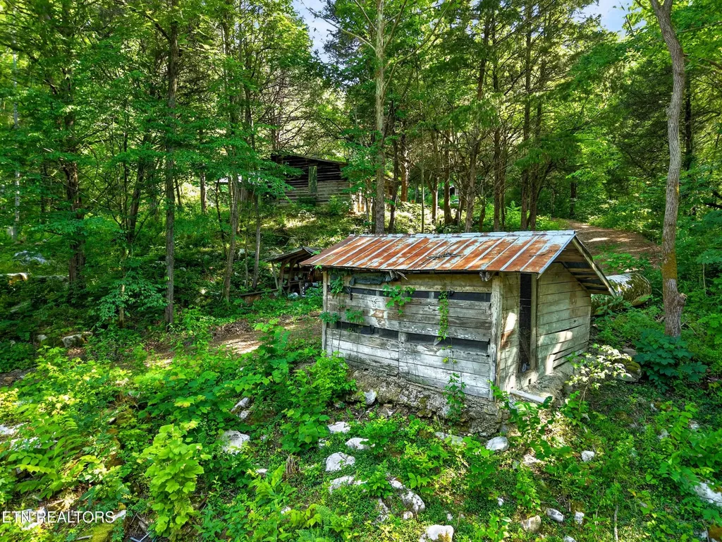 0 Buffalo Cove Lane Jamestown TN 38556