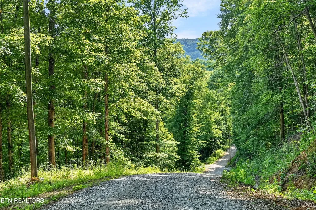 0 Buffalo Cove Lane Jamestown TN 38556