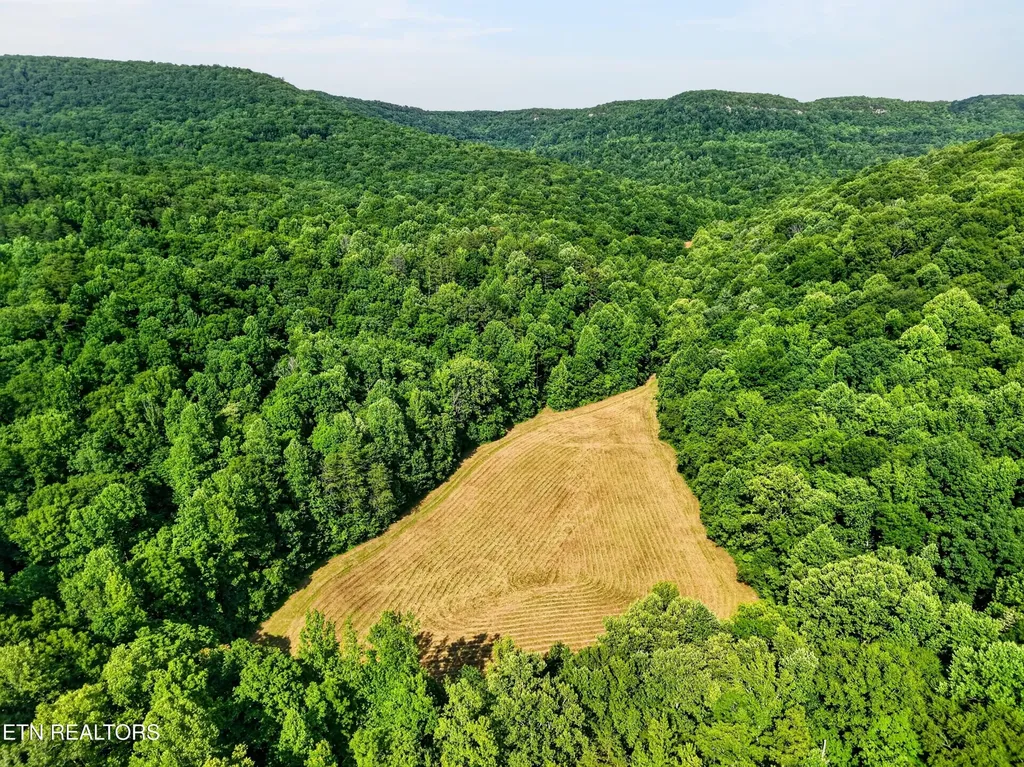 0 Buffalo Cove Lane Jamestown TN 38556