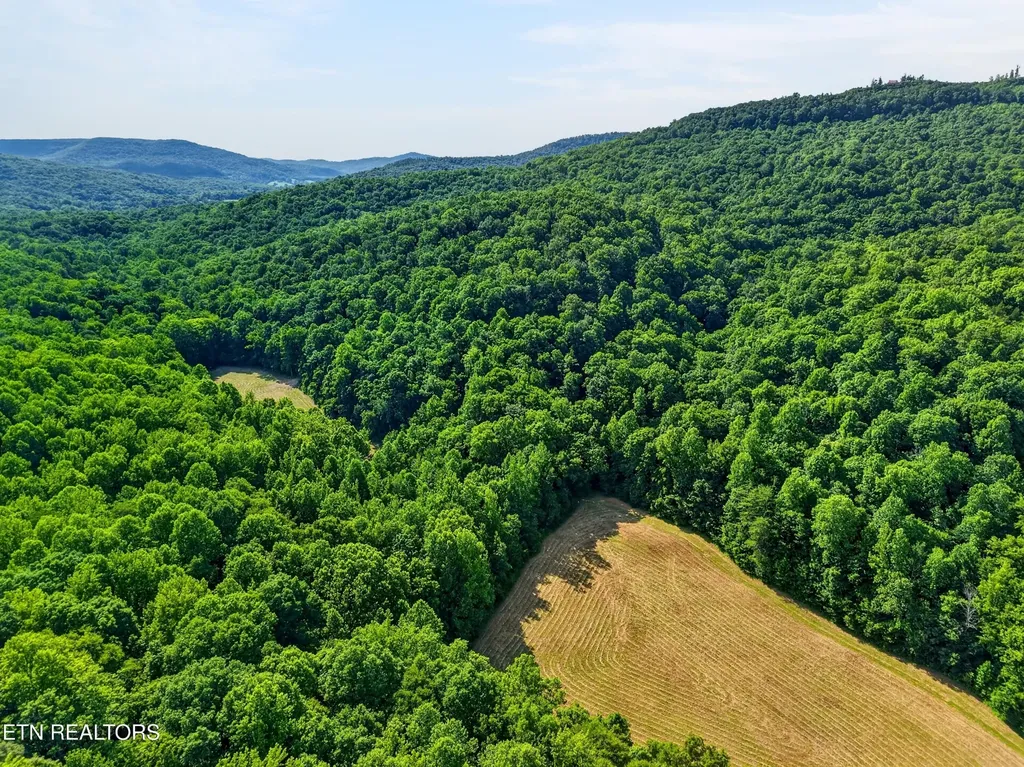 0 Buffalo Cove Lane Jamestown TN 38556