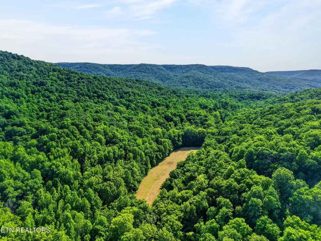 0 Buffalo Cove Lane Jamestown TN 38556