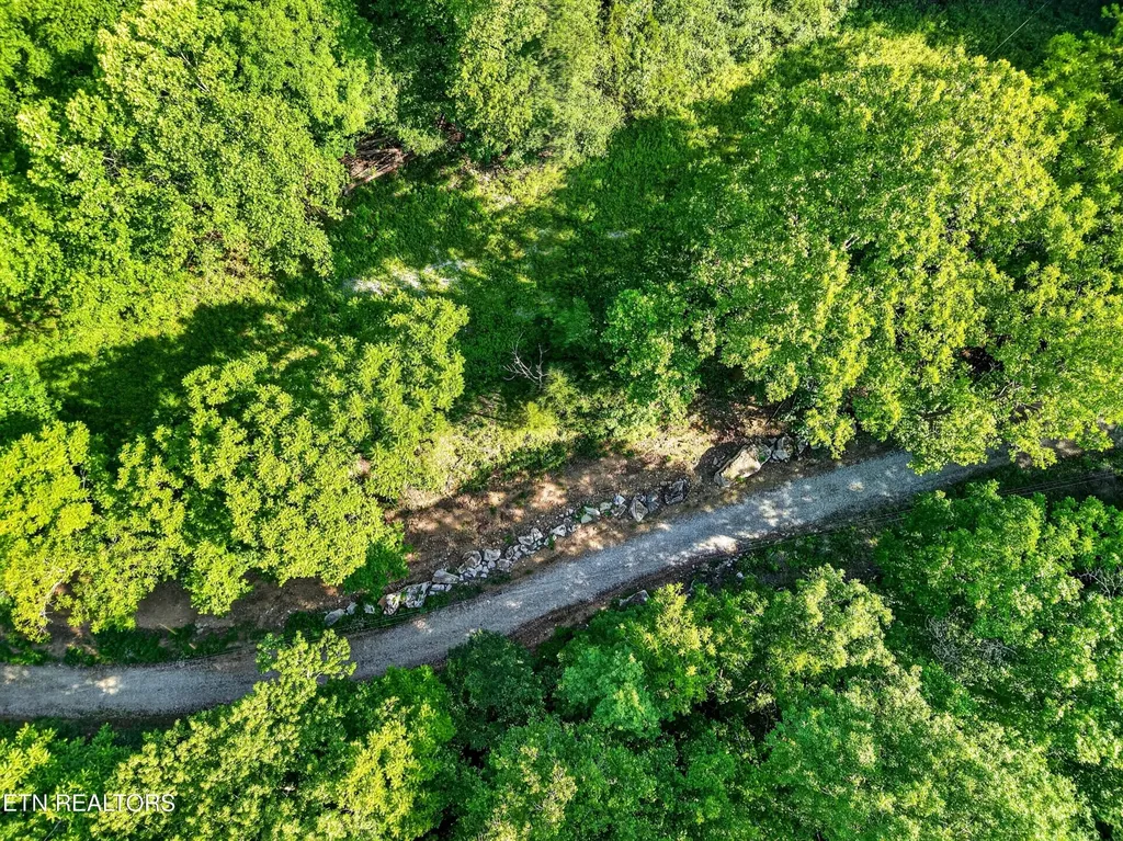 0 Buffalo Cove Lane Jamestown TN 38556